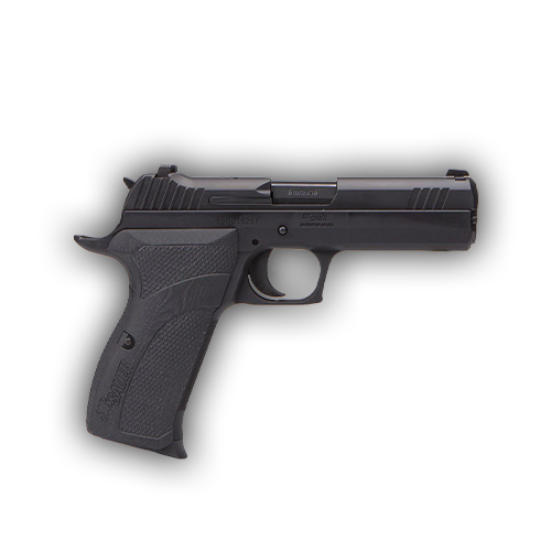 P210 Carry
